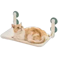 Cat Hammock