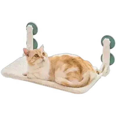 Cat Hammock