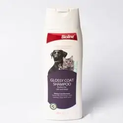 Glossy Coat Shampoo For Cats And Dogs
