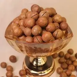 Macadamia