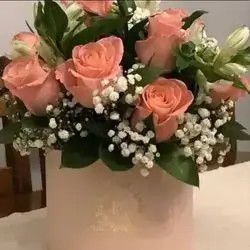 Box 