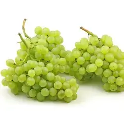 Turkish Raisin Grape