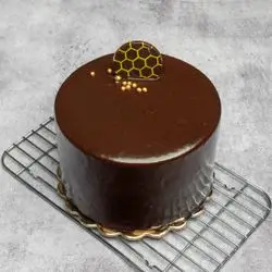 Chocolate Pop Cake