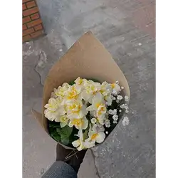 Bouquet Of Daffodils 10 Flowers