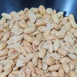 Jambo Abid Pistachio