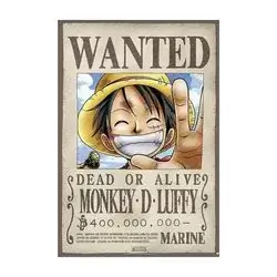 One Piece poster