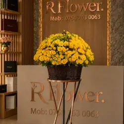 Basket flower 