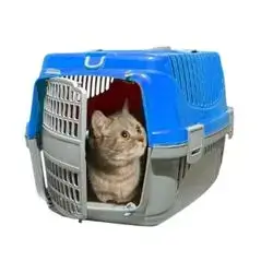 Pet Carriage