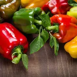 Colored Pepper