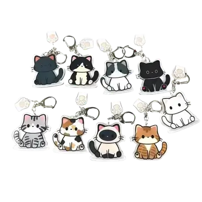 E687 Key Chain