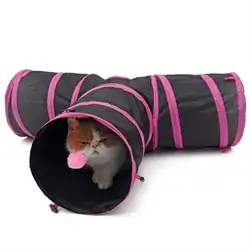 Tunnel With Ball