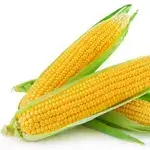 Corn