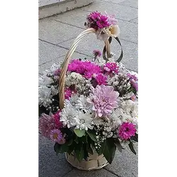 Basket Flower