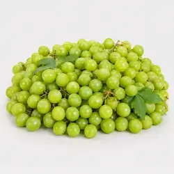 Green Sour Plum