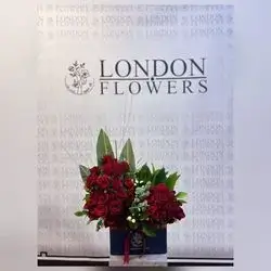 Imported Natural Flower Box