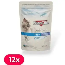 Bonacibo Adult Fish 12x