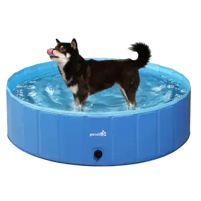 Pool 110 CM