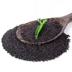 Tukhm Sharbati 250 gr