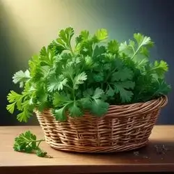 Dry Celery