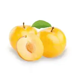 Yellow Plum