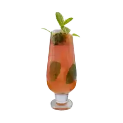 Passion Fruit Mojito