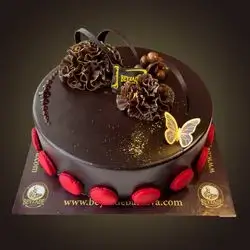 Plain Chocolate Sauce - 4 Person
