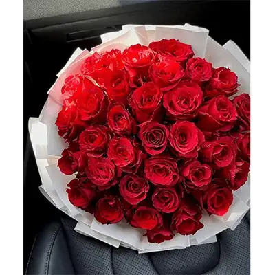 چەپکە گوڵی سوور، ٥٠ گوڵ