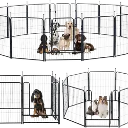 E847 Iron Cage