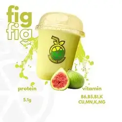 Fig