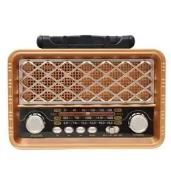 Raiseng R-159BT Retro Portable Multi-Band Radio