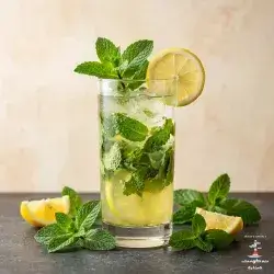 Lemon Mint Mojito