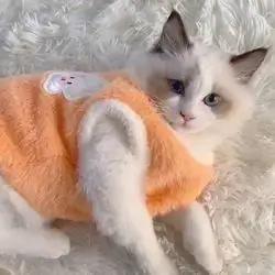 Cat Clothes M