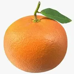 Mandarin with Leaves