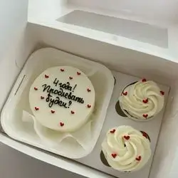 mini cake box