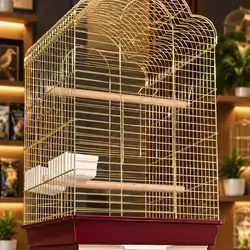 Elegant & Durable Gold Bird Cage