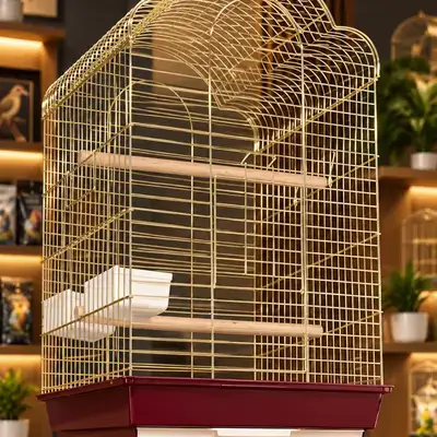 Elegant & Durable Gold Bird Cage