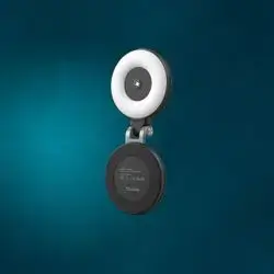 Magnetic Light