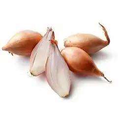 Dolma Onion  1Kg