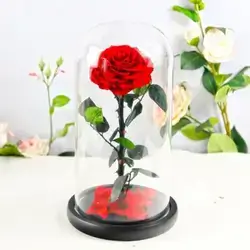 Forever Natural Flowers