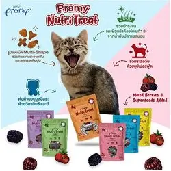Pramy NutriTreat Cat Treats - Assorted Flavors