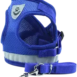 Leash & Harness S