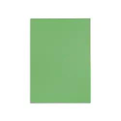 canson paper 70 x100cm - -light green