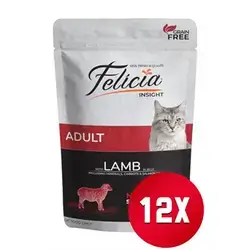 Felicia adult Lamb 12x