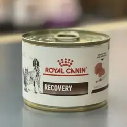 Recovery For Cats & Dogs 195g