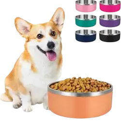 Pet Bowl Orange