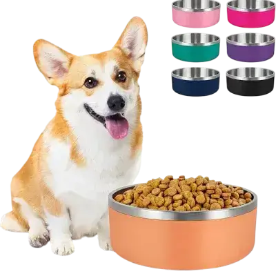 Pet Bowl Orange