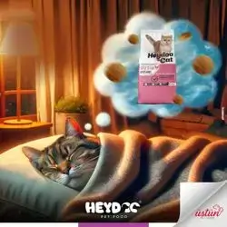 Heydoo Kitten Chicken 2kg