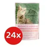 Carpathian Mackerel & Vegetables 24x