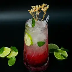 Red Berry Mojito