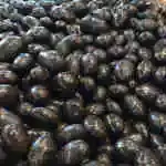 Dark Chocolate with Almonds 1/2 kg